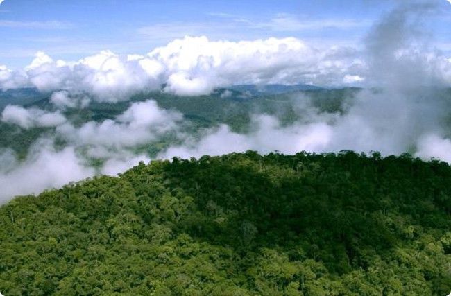 |ρ羳̼WjӣĿ20301000f/