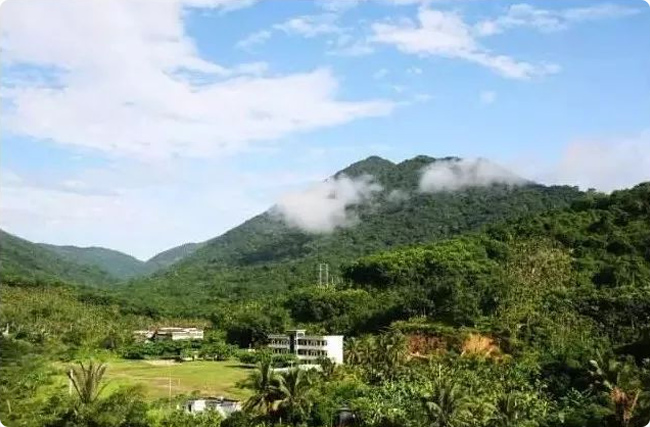 ������������̼�R���ף����ٓQ���f��̼��˾�������p�o��