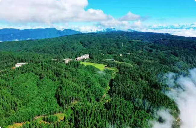 ���O(sh��)һ��(g��)�ϸ��̼�R���ж��y��